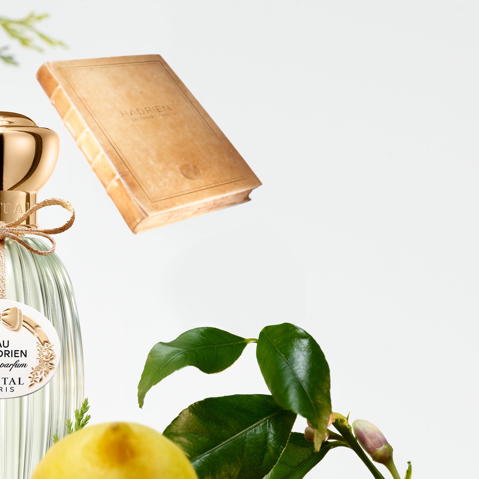 アニックグタールannick goutal eau d'hadrien EAU D'HADRIEN - EAU DE TOILETTE – Goutal Paris US